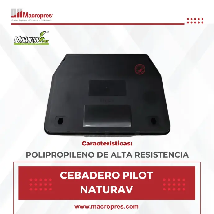 CEBADERO PILOT NATURAV