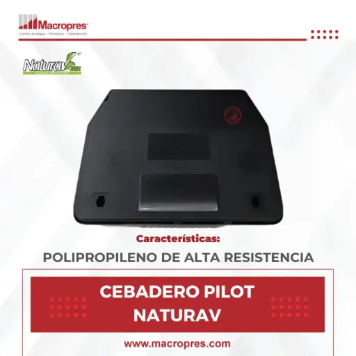 CEBADERO PILOT NATURAV